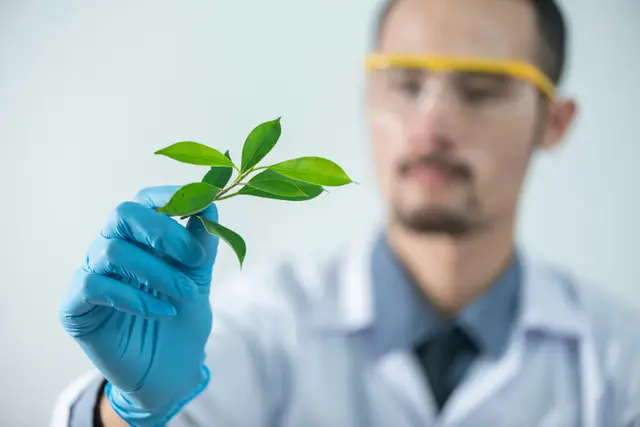 Die Kraft natürlicher Heilmittel: Entdeckungen für Ihre Gesundheit