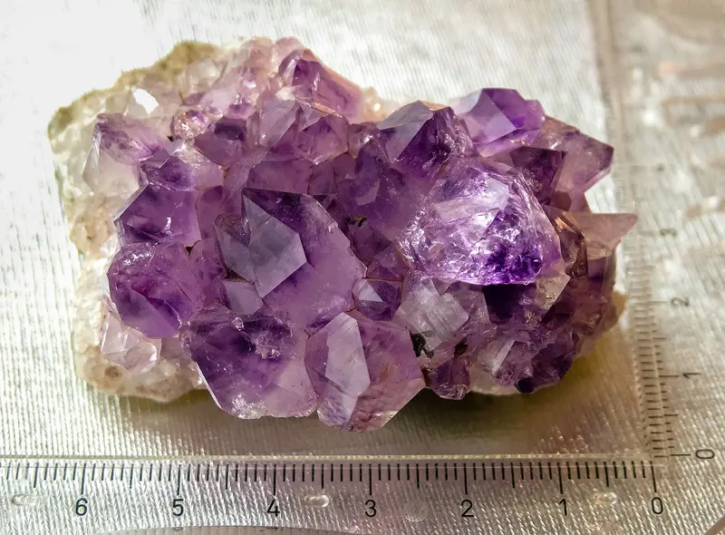 Rohe Amethyst-Kristalle in einer Druse