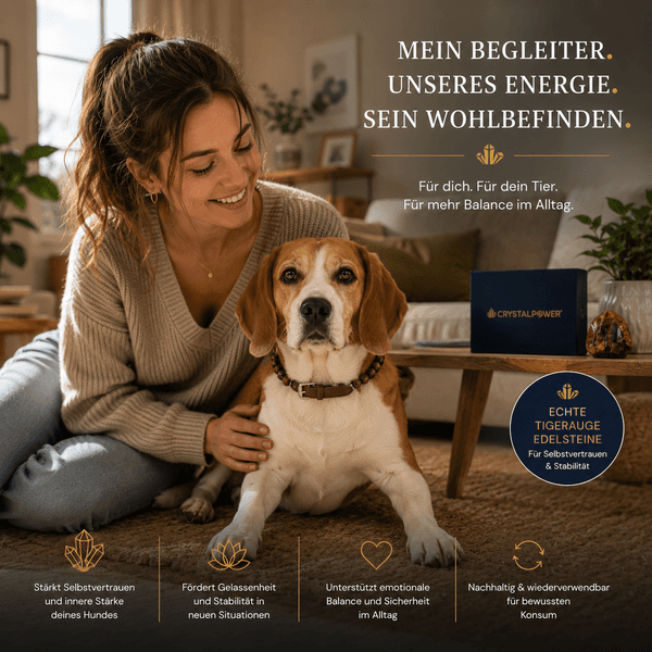 CrystalPower Hundehalsband mit echten Tigerauge-Edelsteinen an einem Beagle