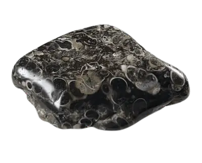 Turitella-Jaspis - Heilstein