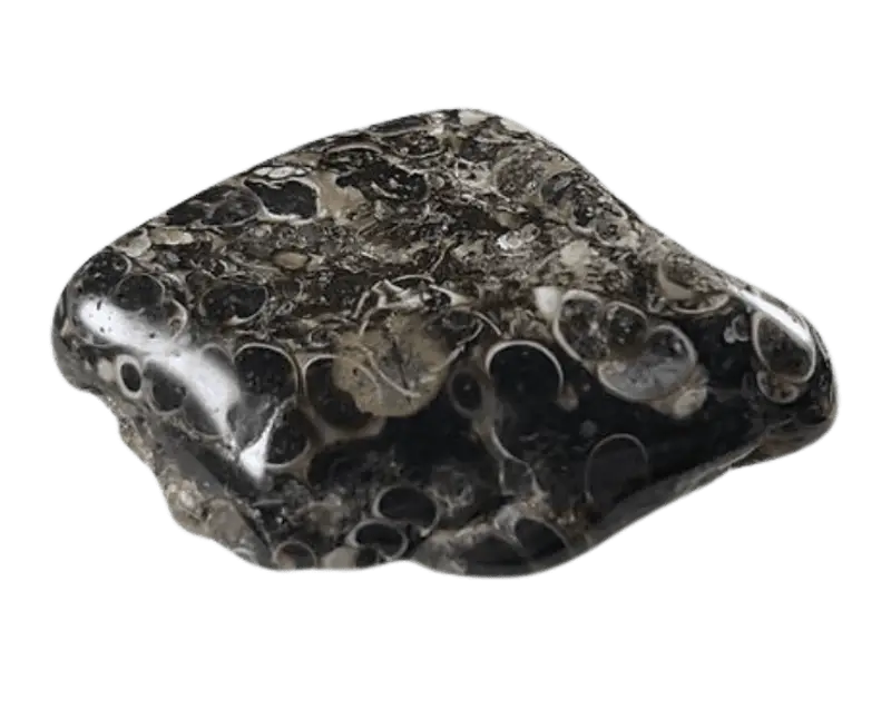 Turitella-Jaspis - Heilstein
