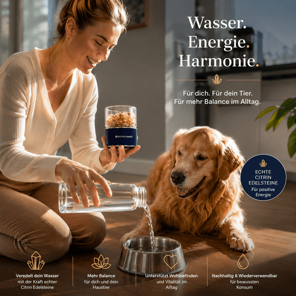 CrystalPower Wassersteinflasche mit echten Citrin-Edelsteinen neben einem Hund